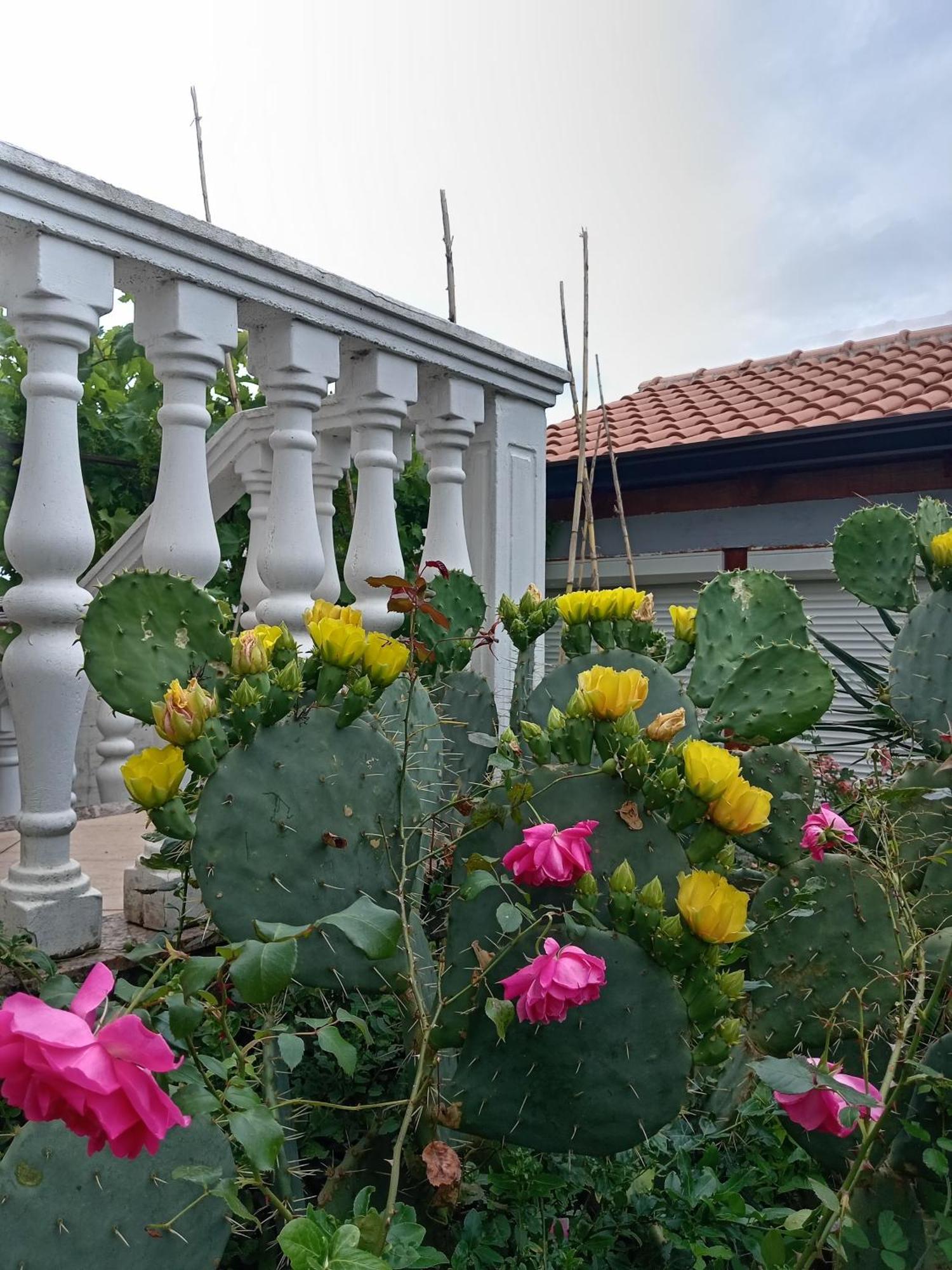 Apartamento Lili Umag Exterior foto